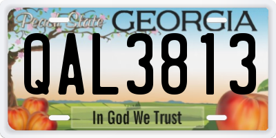 GA license plate QAL3813