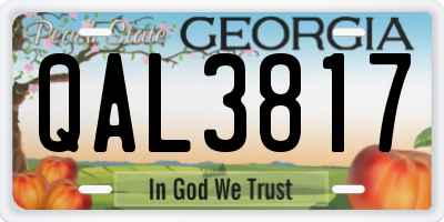 GA license plate QAL3817