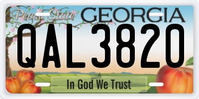 GA license plate QAL3820