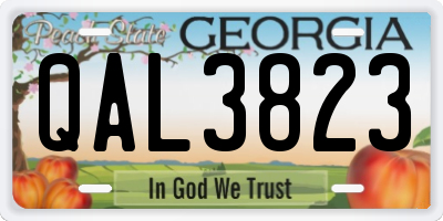 GA license plate QAL3823