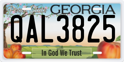 GA license plate QAL3825