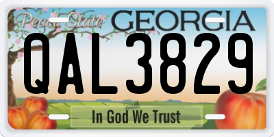 GA license plate QAL3829