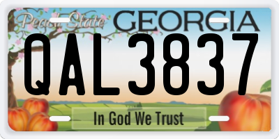 GA license plate QAL3837