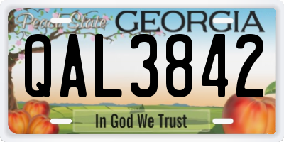 GA license plate QAL3842