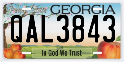 GA license plate QAL3843