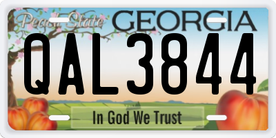 GA license plate QAL3844