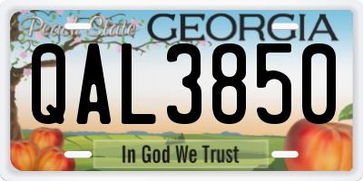 GA license plate QAL3850