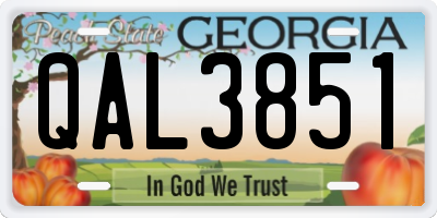 GA license plate QAL3851