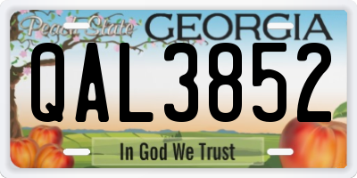 GA license plate QAL3852