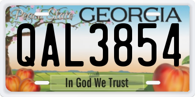 GA license plate QAL3854