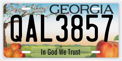 GA license plate QAL3857