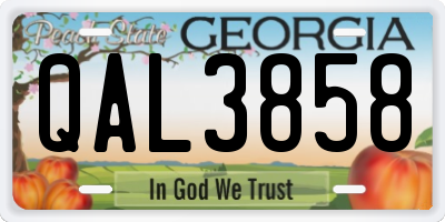 GA license plate QAL3858