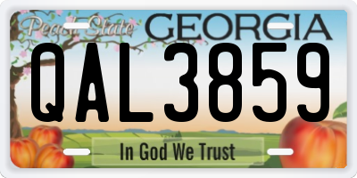 GA license plate QAL3859