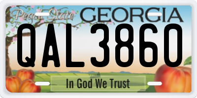 GA license plate QAL3860