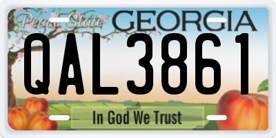 GA license plate QAL3861