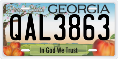 GA license plate QAL3863