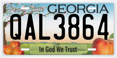 GA license plate QAL3864