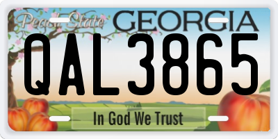 GA license plate QAL3865