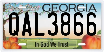 GA license plate QAL3866