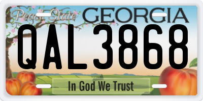 GA license plate QAL3868