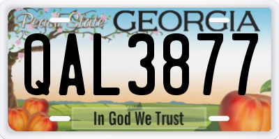 GA license plate QAL3877