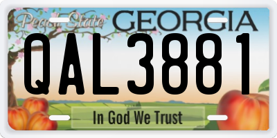 GA license plate QAL3881