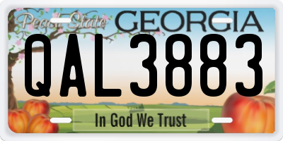 GA license plate QAL3883