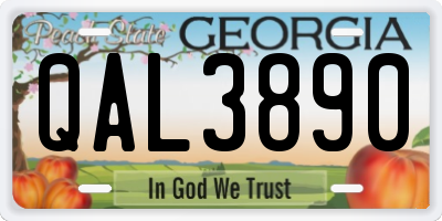 GA license plate QAL3890