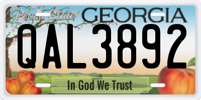 GA license plate QAL3892