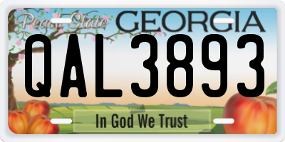 GA license plate QAL3893