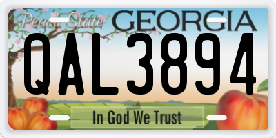 GA license plate QAL3894