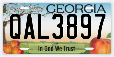 GA license plate QAL3897