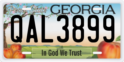 GA license plate QAL3899
