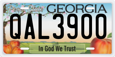 GA license plate QAL3900