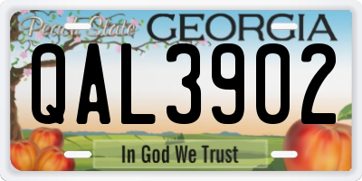 GA license plate QAL3902