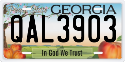 GA license plate QAL3903