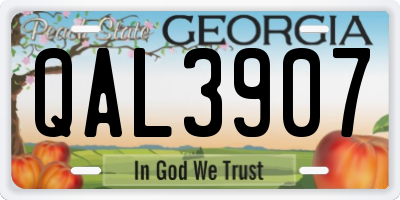 GA license plate QAL3907