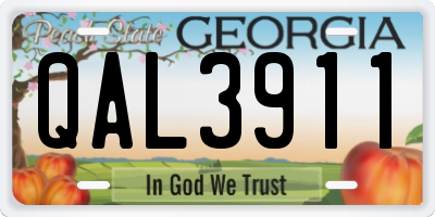 GA license plate QAL3911