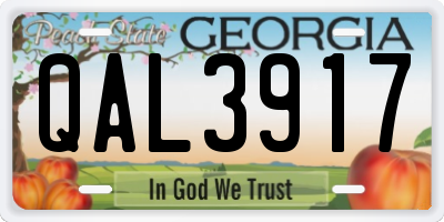 GA license plate QAL3917