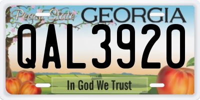 GA license plate QAL3920