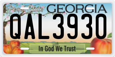 GA license plate QAL3930