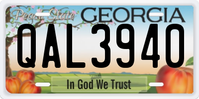 GA license plate QAL3940