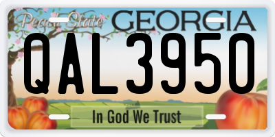 GA license plate QAL3950