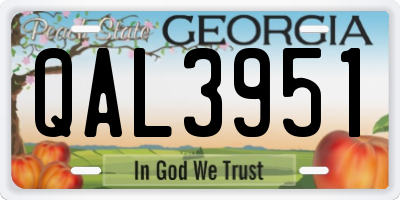 GA license plate QAL3951