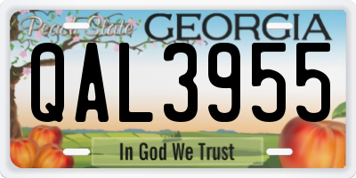 GA license plate QAL3955