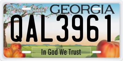 GA license plate QAL3961