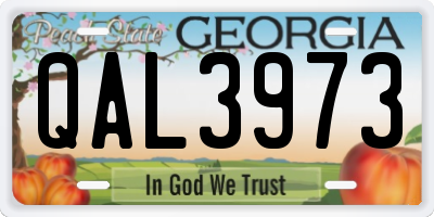 GA license plate QAL3973