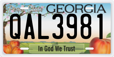 GA license plate QAL3981