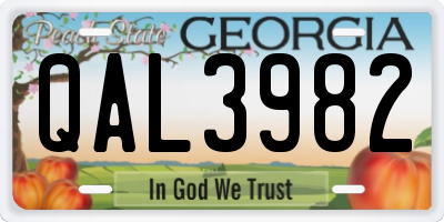 GA license plate QAL3982