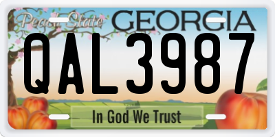 GA license plate QAL3987